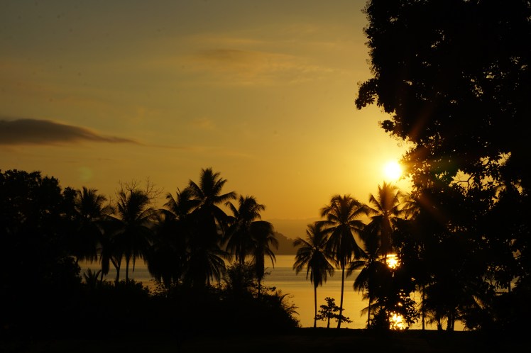 190226_Jungle retreat house_Osa_DSC01596