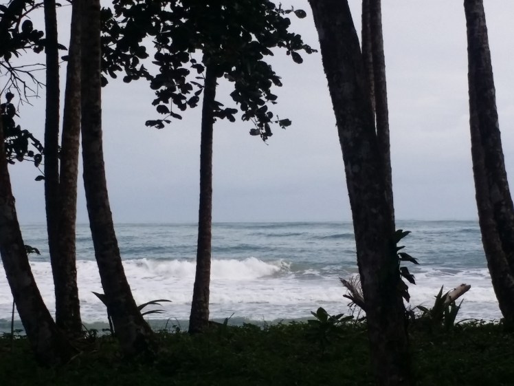 190212_091833_Playa Cocles Puerto Viejo.jpg