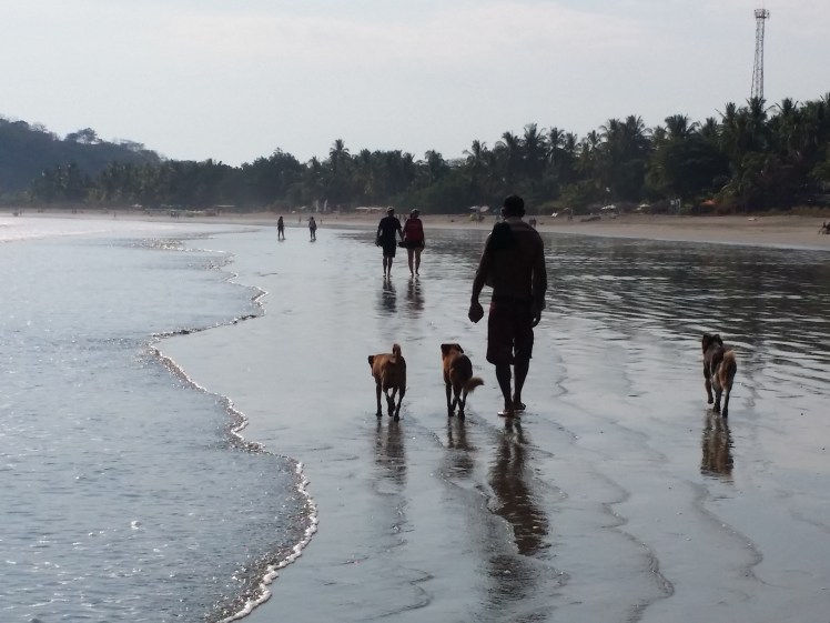 190216_152705_Playa Samara