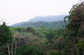 190221_Casa Verde_Uvita_DSC01271