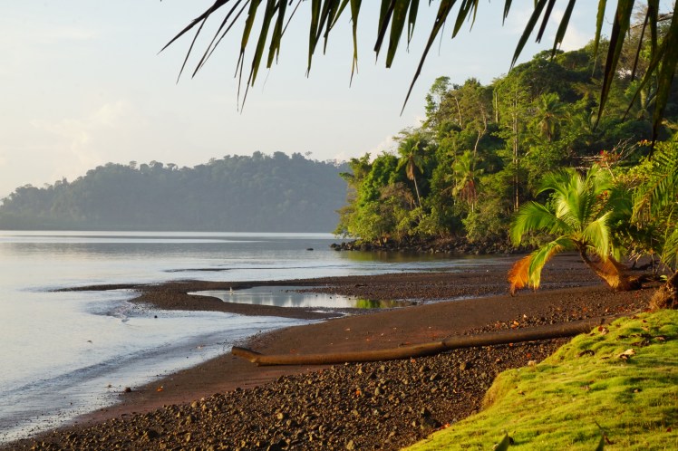 190226_Jungle retreat house_Osa_DSC01602