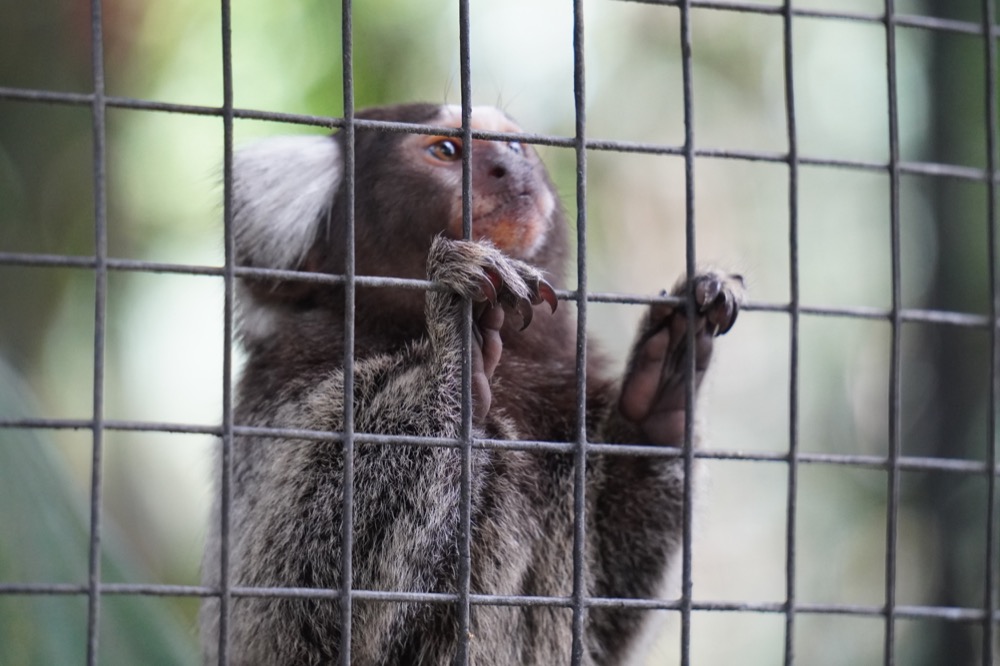 DSC00030_Bird rescue center ZooAve_180120