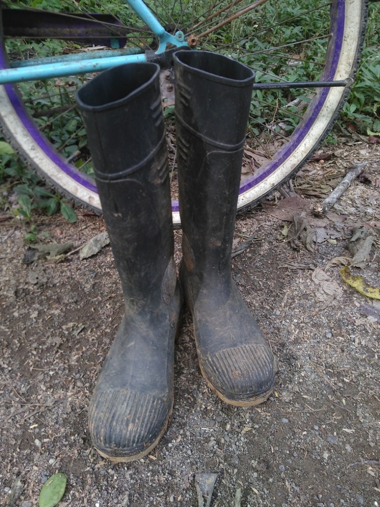 Still going strong today!